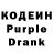Кодеиновый сироп Lean Purple Drank Sara Nemoy