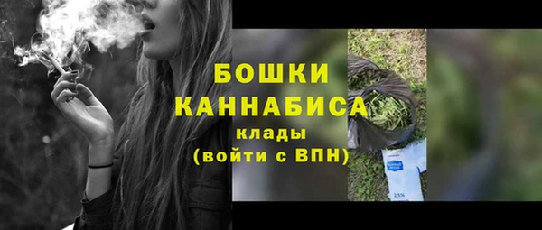 ПСИЛОЦИБИНОВЫЕ ГРИБЫ Михайлов