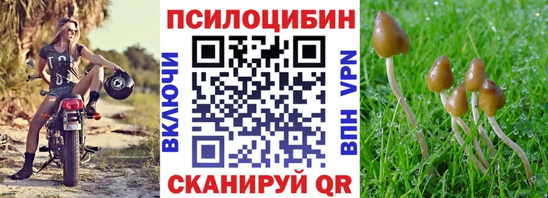Купить где  Калачинск  Галлюциногенные грибы Magic Shrooms 