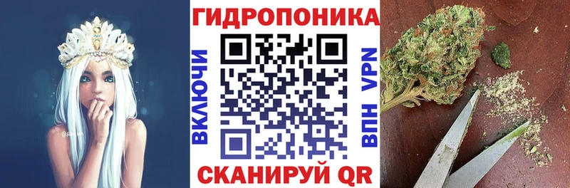 Бошки марихуана тримм  Купить закладки  Калачинск 